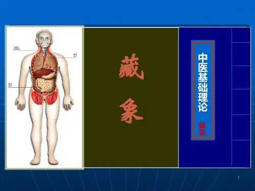 中医学基础10藏象学说脏腑之间的关系-PPT文档资料