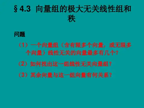 线性代数向量组的极大线性无关组和秩