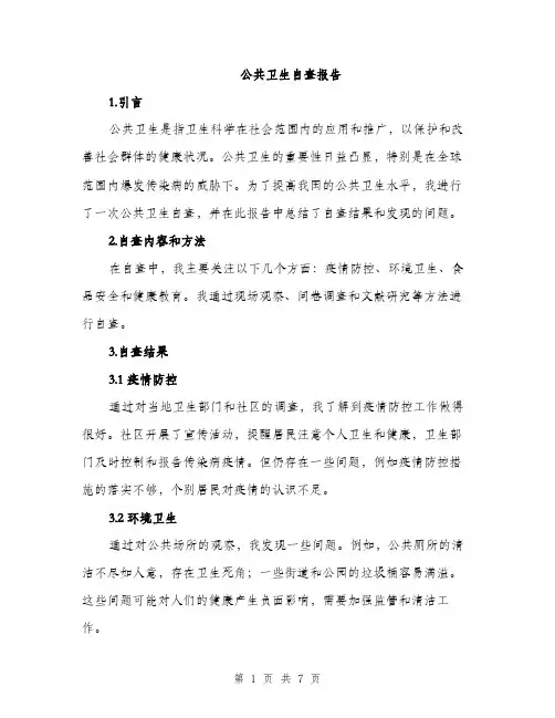 公共卫生自查报告（2篇）