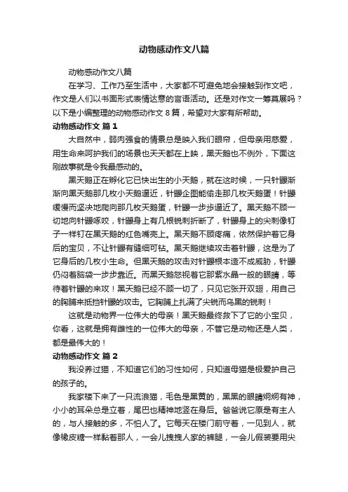 动物感动作文八篇