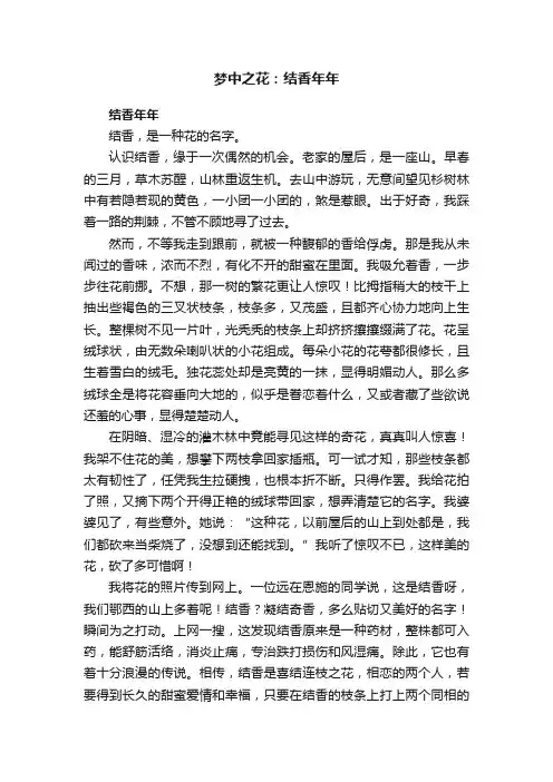 梦中之花：结香年年