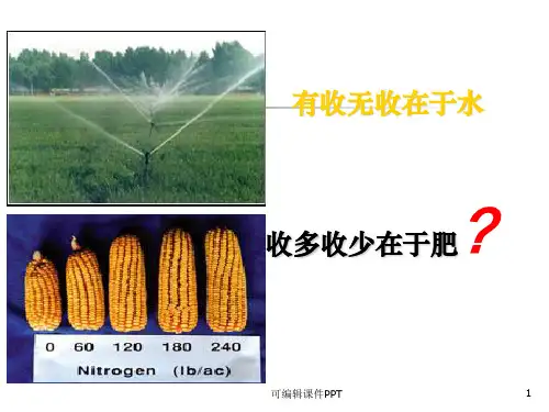 第2章 植物的矿质营养ppt课件