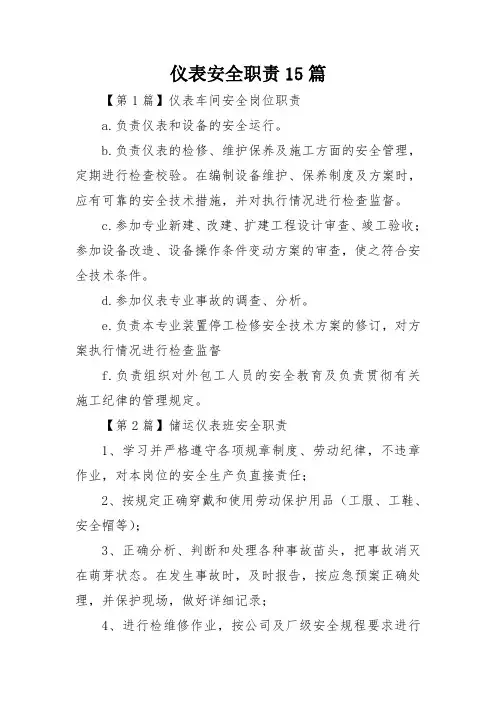 仪表安全职责15篇