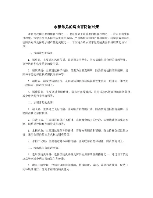 水稻常见的病虫害防治对策