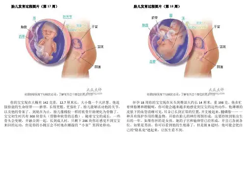 准妈妈第五月