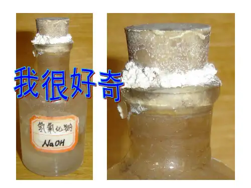 氢氧化钠变质的探究之旅ppt课件