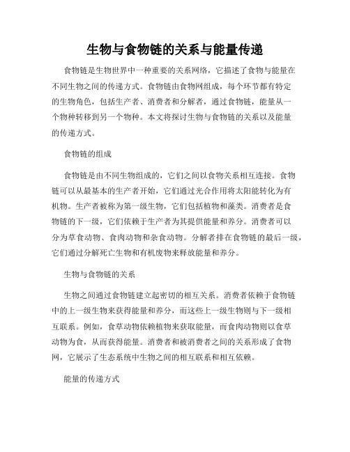 生物与食物链的关系与能量传递