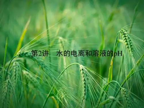 8.2水的电离和溶液的pH课件课件