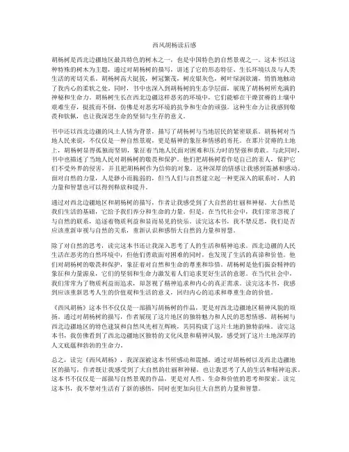 西风胡杨读后感