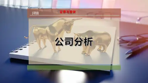 公 司 分 析PPT模板
