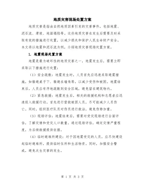地质灾害现场处置方案