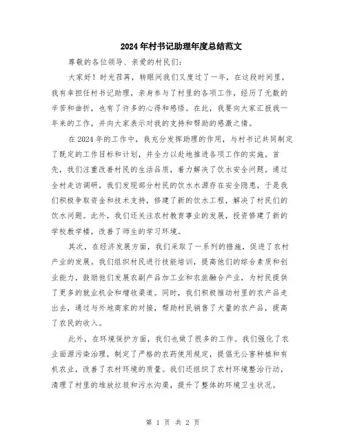 2024年村书记助理年度总结范文