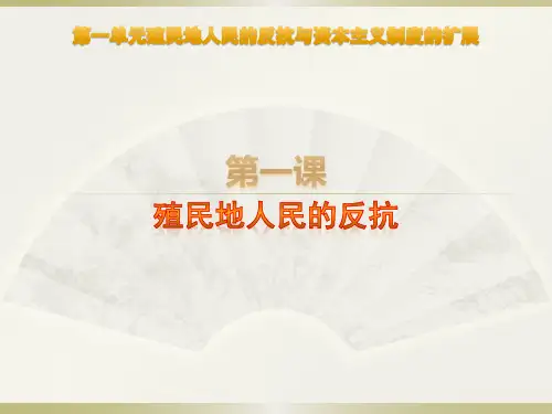 新人教版九年级历史下册《殖民地人民的反抗与资本主义制度的扩展 第1课 殖民地人民的反抗斗争》课件_14