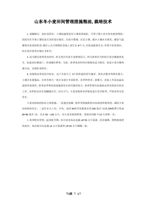 山东冬小麦田间管理措施粮油,栽培技术