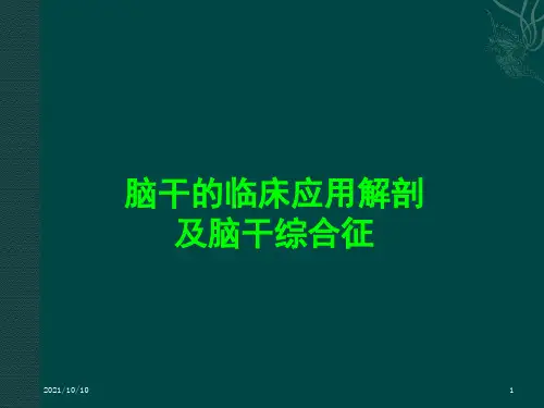 脑干解剖及脑干综合征