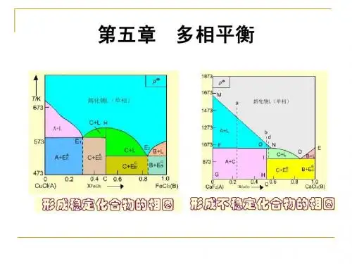第5章相律与相平衡(修改)