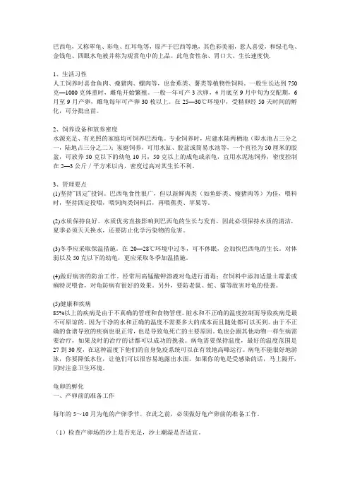 观赏龟的喂养