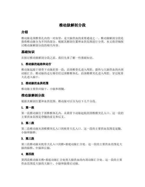 椎动脉解剖分段