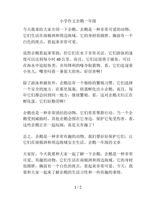 小学作文企鹅一年级
