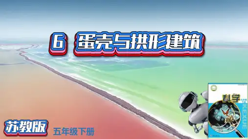 (新版)苏教版科学五年级下册6蛋壳与拱形建筑PPT新版课件