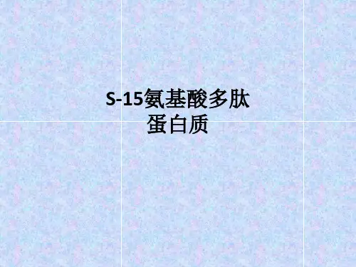S-15氨基酸多肽蛋白质ppt课件