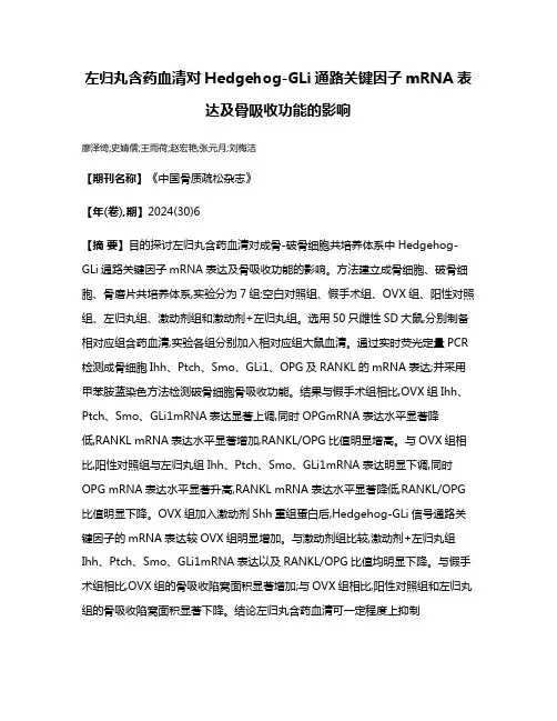 左归丸含药血清对Hedgehog-GLi通路关键因子mRNA表达及骨吸收功能的影响