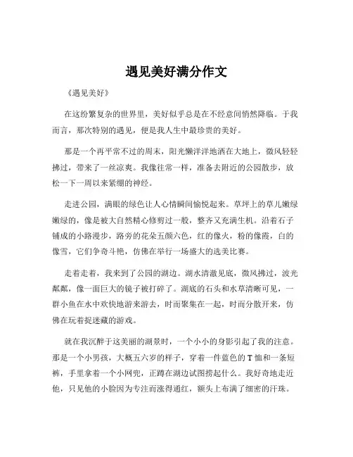 遇见美好满分作文
