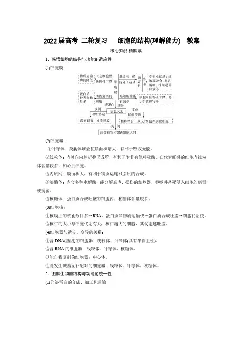 高考二轮复习细胞的结构(理解能力)教案