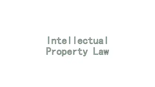 国际商法 Part 6 Intellectual Property Law知识产权法