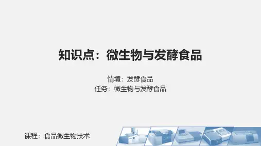 微生物与发酵食品