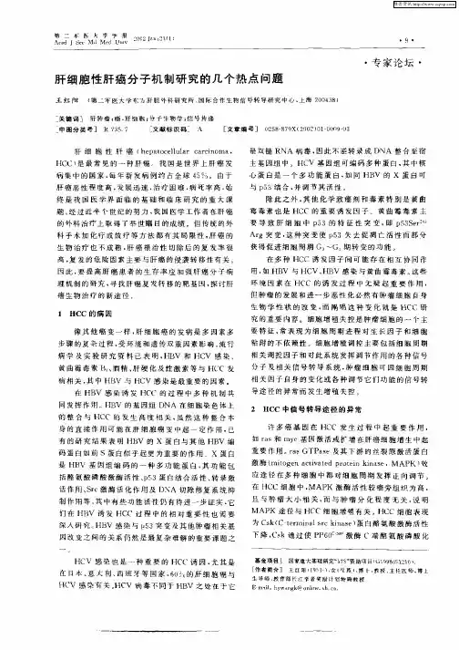 肝细胞性肝癌分子机制研究的几个热点问题