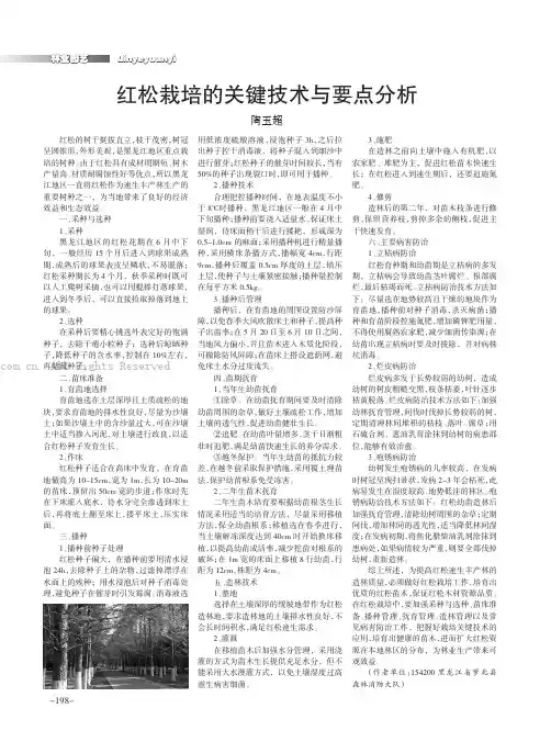 红松栽培的关键技术与要点分析