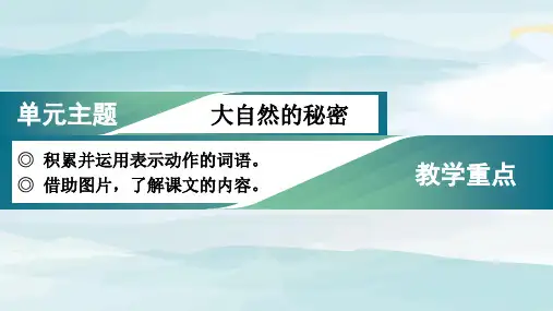(教学课件)1.小蝌蚪找妈妈二年级上册语文人教版