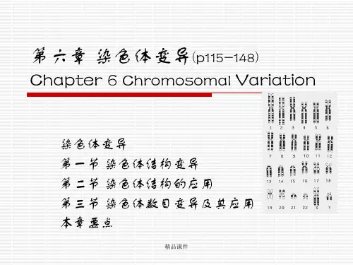 遗传学第六章染色体变异