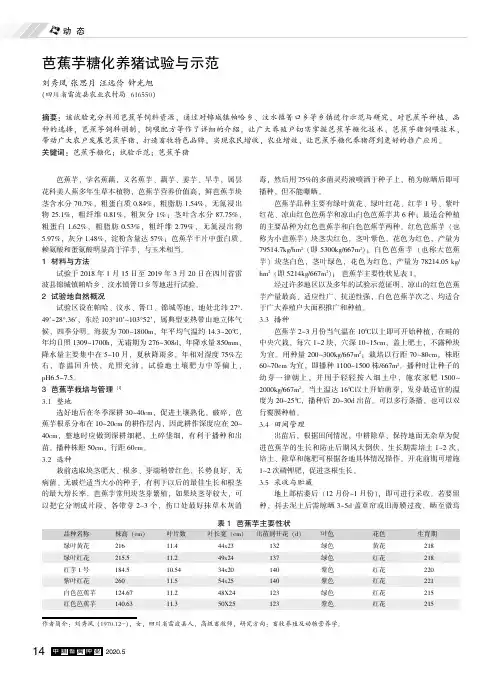芭蕉芋糖化养猪试验与示范