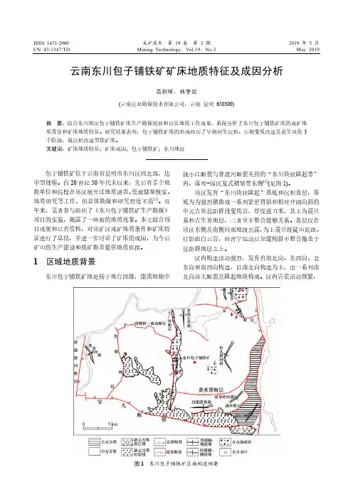 云南东川包子铺铁矿矿床地质特征及成因分析