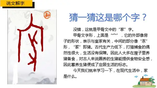 4.1 家的意味 议题式教学课件(共22张PPT)-2024-2025学年统编版道德与法治七年级上册