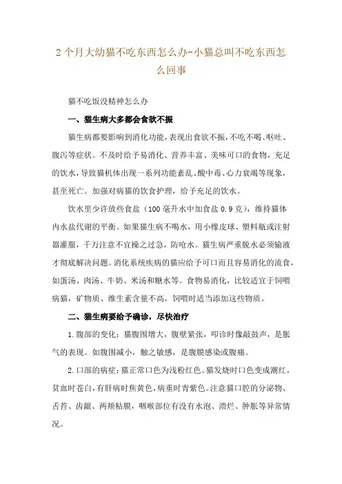 2个月大幼猫不吃东西怎么办-小猫总叫不吃东西怎么回事