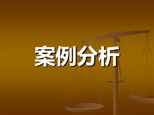 案例分析 PPT课件