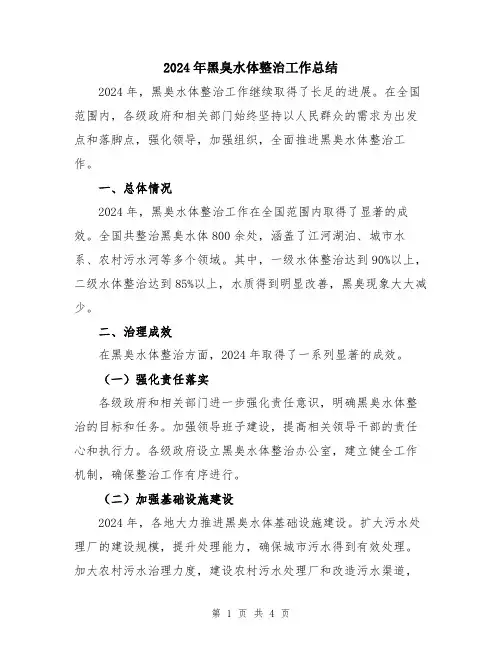 2024年黑臭水体整治工作总结