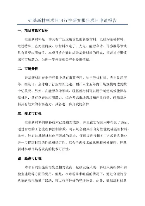 硅基新材料项目可行性研究报告项目申请报告