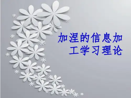 加涅的信息加工学习理论
