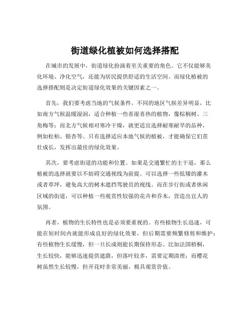 街道绿化植被如何选择搭配
