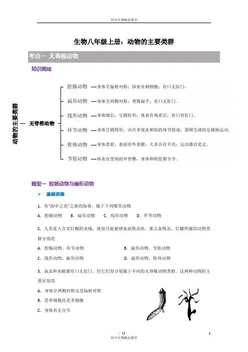 人教版生物八年级上册：5.1动物的主要类群导学案(含答案)