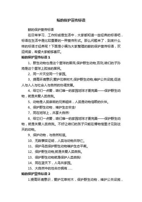鲸的保护宣传标语