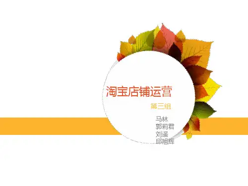 淘宝店铺运营.pptx12