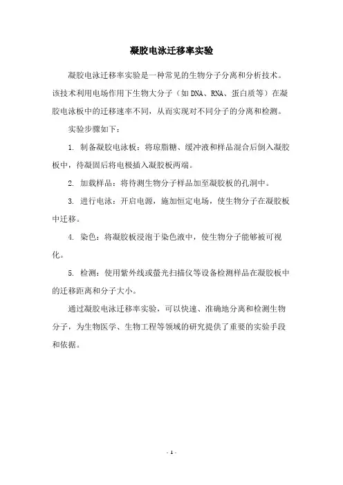 凝胶电泳迁移率实验