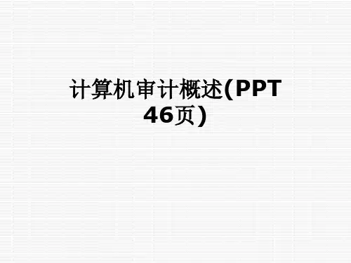 计算机审计概述(PPT 46页)
