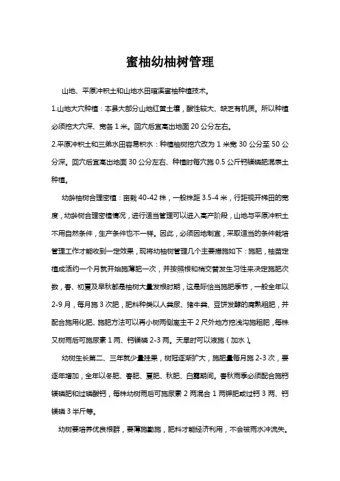 蜜柚幼柚树管理