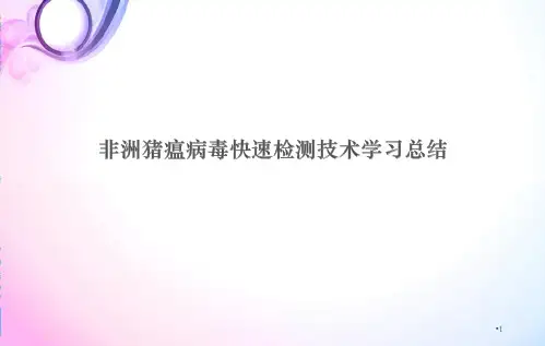 非洲猪瘟病毒快速检测技术学习总结PPT演示课件